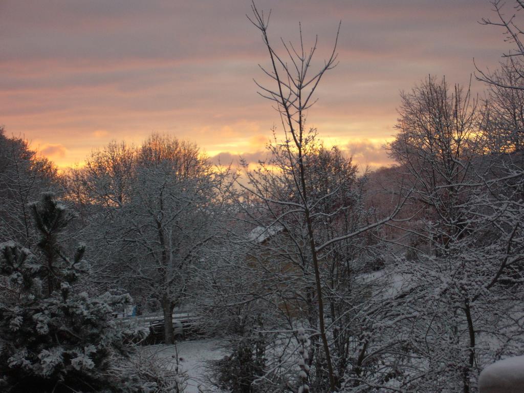 Le Jardin Ombrage Bed & Breakfast Saint-Paul-dʼIzeaux Dış mekan fotoğraf